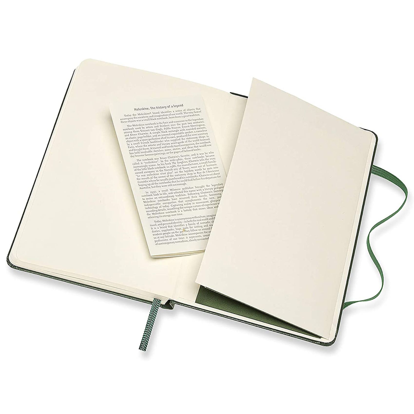 Moleskine Notebook, Large, Plain, Myrtle Green, Hard Cover(5 x 8.25)